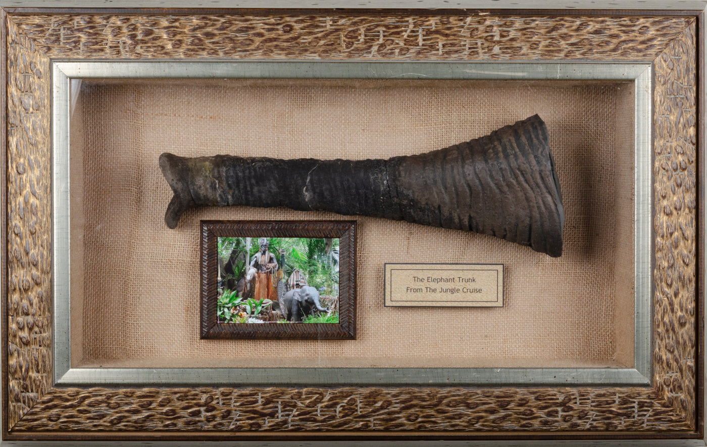 Jungle Cruise Small Elephant Trunk Framed