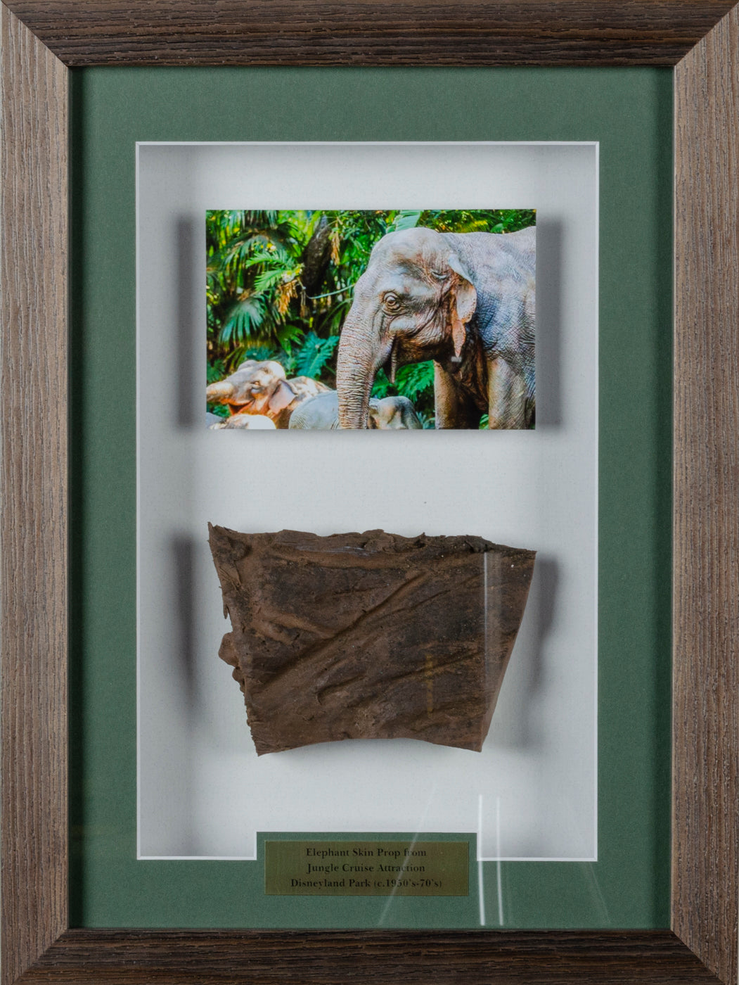 Framed Elephant Skin