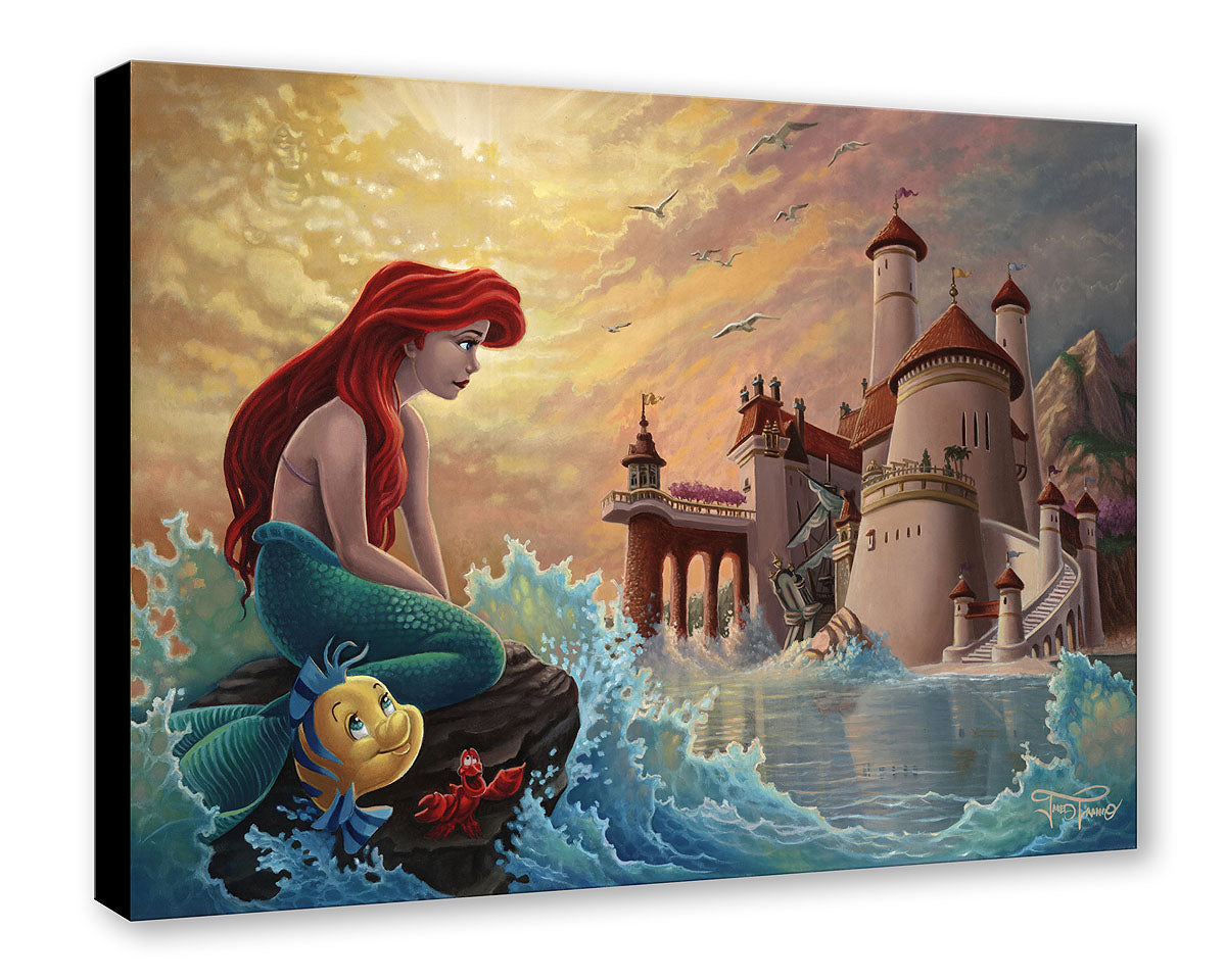 Ariel's Daydream - Limited Edition Unframed