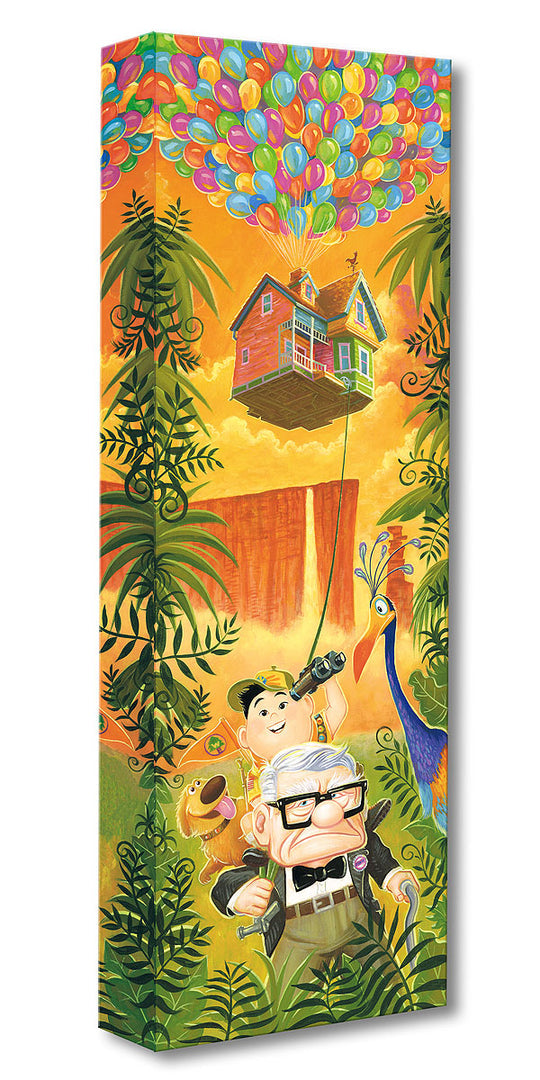 Journey To Paradise Falls -  Disney Treasure On Canvas