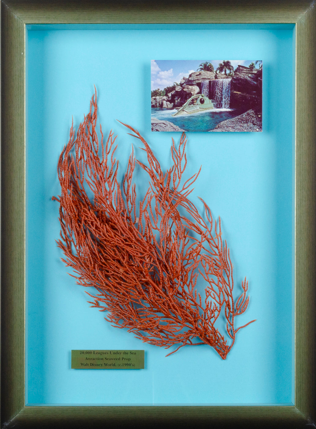 Original WDW 20,000 Leagues Under The Sea Seaweed Prop